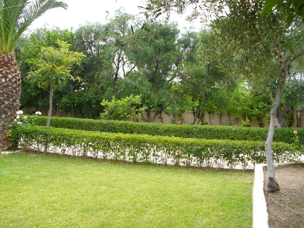 Olga'S Garden Apartments Almiros Beach 外观 照片