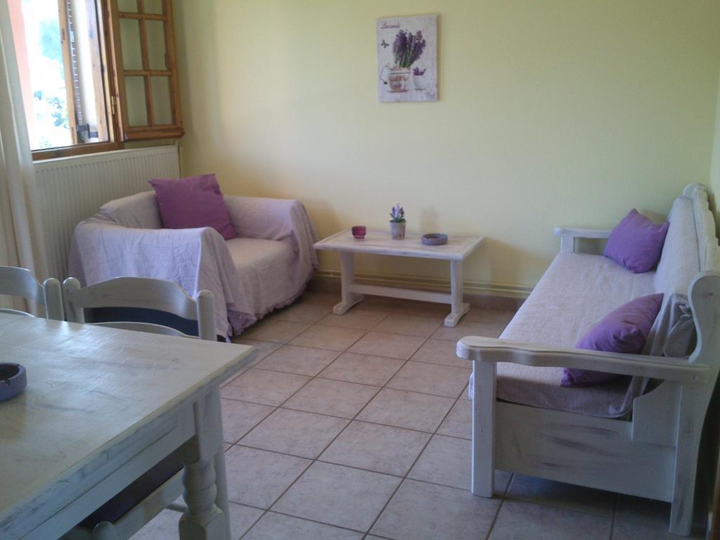 Olga'S Garden Apartments Almiros Beach 客房 照片